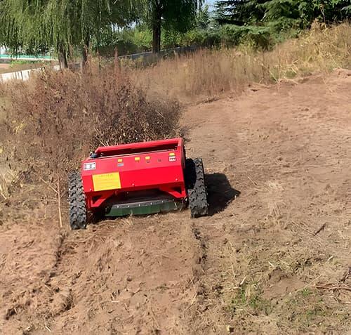 Top Lawn Care Equipment Trends in Europe and North America