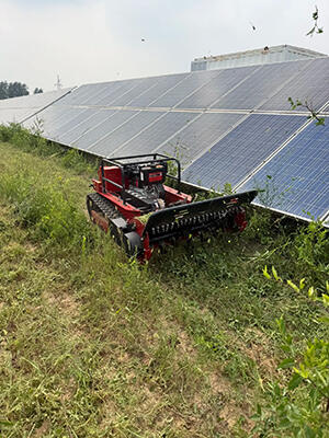 Why are more and more vineyards and solar power plants choosing tracked remote-controlled lawn mowers?