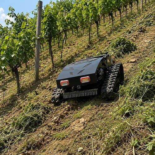 How One Vineyard Reduced Mowing Time by 60% Using a Tracked RC Mower